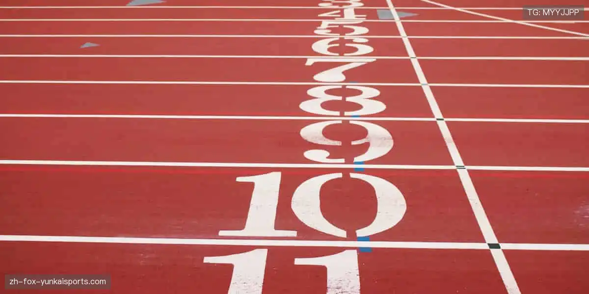 🎯 从装备到潮流,体育周边商城,做你的运动全能搭档!